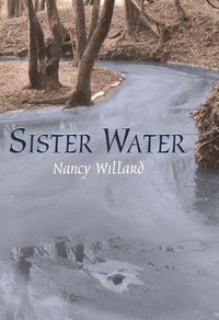 bokomslag Sister Water