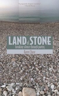 bokomslag Land of Stone