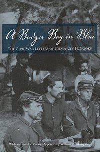 bokomslag A Badger Boy in Blue