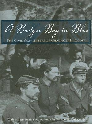 Badger Boy in Blue 1
