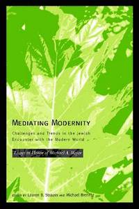 bokomslag Mediating Modernity