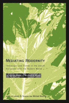 bokomslag Mediating Modernity