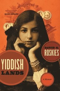 bokomslag Yiddishlands
