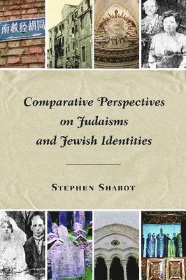 bokomslag Comparative Perspectives on Judaisms and Jewish Identities