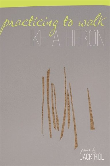 Jack Ridl - Practicing to Walk Like a Heron, Häftad