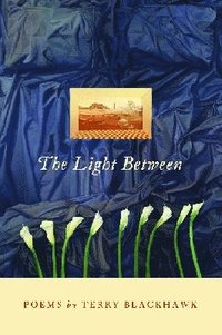 bokomslag Light Between