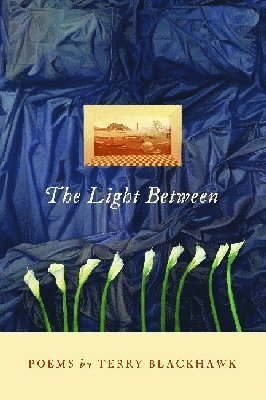 Terry Blackhaw, Terry Blackhawk - Light Between, Häftad