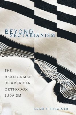 bokomslag Beyond Sectarianism