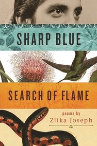 bokomslag Sharp Blue Search of Flame