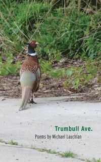 bokomslag Trumbull Ave.