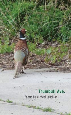 bokomslag Trumbull Ave.