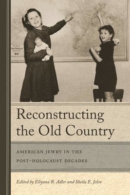 bokomslag Reconstructing the Old Country