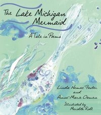 bokomslag The Lake Michigan Mermaid
