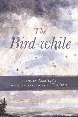 The Bird-While 1