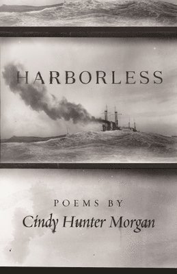 Harborless 1