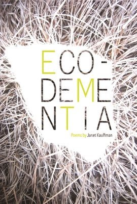 bokomslag Eco-Dementia