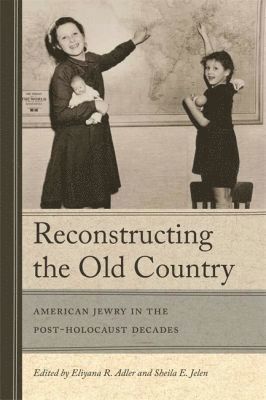 bokomslag Reconstructing the Old Country