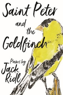 Saint Peter and the Goldfinch 1