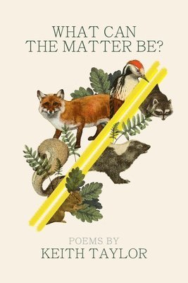 Keith Taylor - What Can the Matter Be?, Häftad