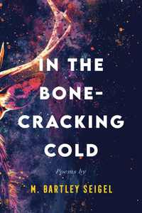 bokomslag In the Bone-Cracking Cold