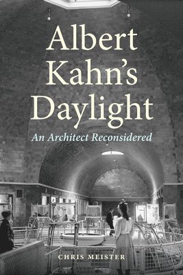 bokomslag Albert Kahn's Daylight