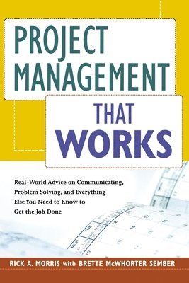 bokomslag Project Management That Works