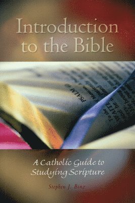 bokomslag Introduction to the Bible