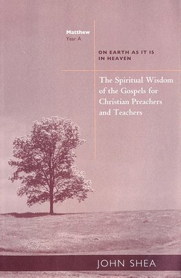 bokomslag The Spiritual Wisdom of Gospels for Christian Preachers And Teachers