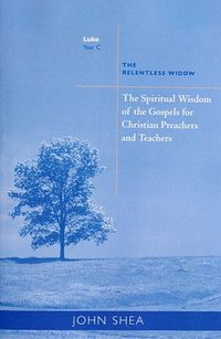 bokomslag The Spiritual Wisdom Of Gospels For Christian Preachers And Teachers