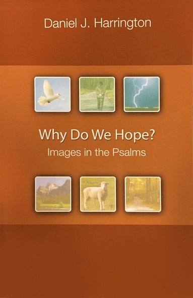 Daniel J. Harrington SJ - Why Do We Hope?, Häftad