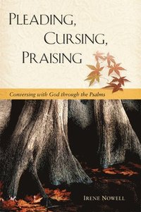 bokomslag Pleading, Cursing, Praising