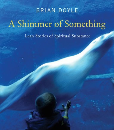 Brian Doyle - Shimmer of Something, Häftad