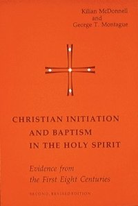bokomslag Christian Initiation and Baptism in the Holy Spirit