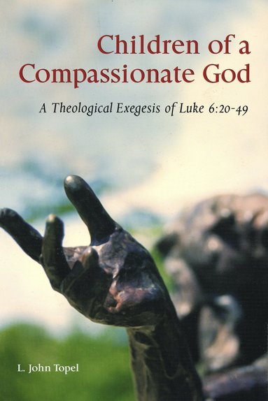 bokomslag Children of a Compassionate God