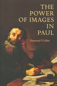 bokomslag The Power of Images in Paul