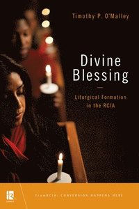 bokomslag Divine Blessing