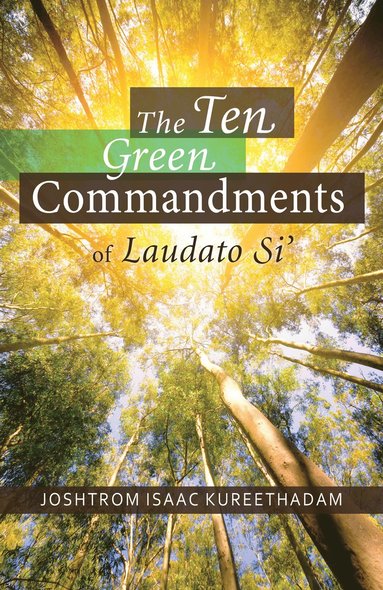 bokomslag Ten Green Commandments of Laudato Si'