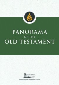 bokomslag Panorama of the Old Testament