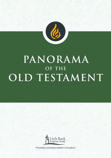 Stephen J. Binz - Panorama of the Old Testament, Häftad
