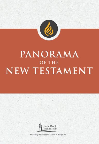Stephen J. Binz - Panorama of the New Testament, Häftad
