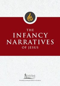 bokomslag The Infancy Narratives of Jesus