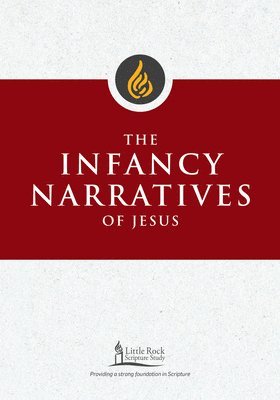 bokomslag The Infancy Narratives of Jesus