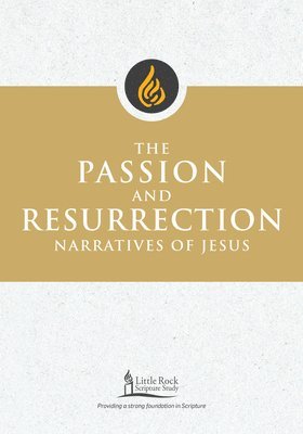 bokomslag The Passion and Resurrection Narratives of Jesus