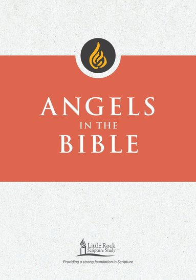 George M. Smiga - Angels in the Bible, Häftad