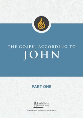 bokomslag Gospel According to John, Part One