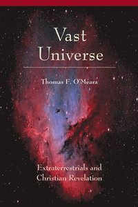 bokomslag Vast Universe