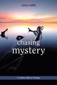bokomslag Chasing Mystery