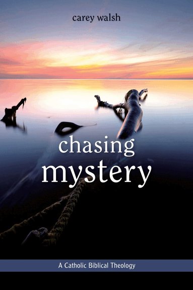 Carey Walsh - Chasing Mystery, Häftad
