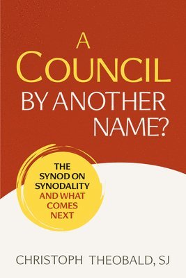 bokomslag Council by Another Name?