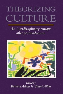 Barbara Adam, Stuart Allan - Theorizing Culture, Häftad